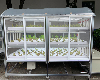 傢(jia)庭(ting)種植架(jia) DNO-2412-3-08