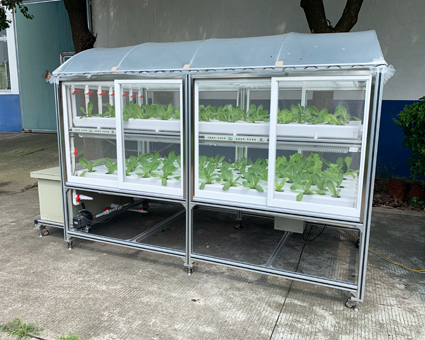 傢(jia)庭(ting)種植(zhi)架 DNO-2412-2-08