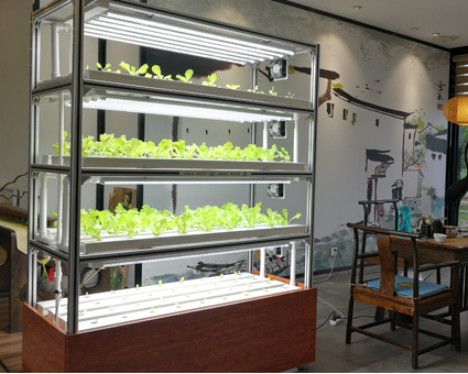 室(shi)內(nei)種植架(jia) DNI-1560-4-05