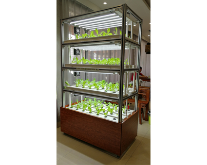 室(shi)內種植架(jia) DNI-1260-4-05