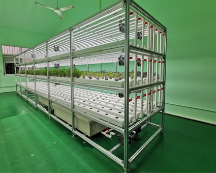 室(shi)內(nei)種植架 DNI-7212-3-08