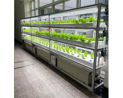 客戶定製(zhi)方案四(si)——學(xue)校(xiao)通(tong)道(dao)