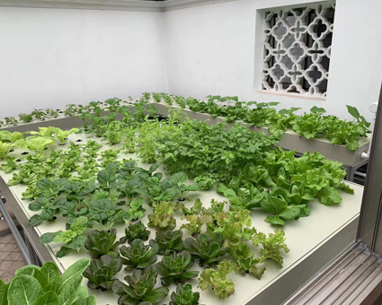 客戶(hu)定(ding)製方案五(wu)——傢庭陽光(guang)房